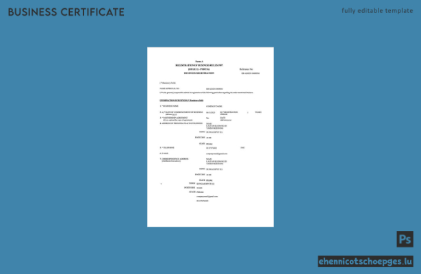 Malaysische Gewerbeanmeldung (Word und PDF), Version 2 – Beispielvorschau